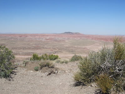 painted desert